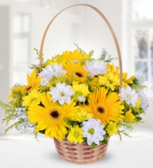 Sarı Gerbera ve Krizantemler